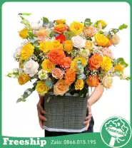 Giỏ Hoa Chúc Mừng Ánh Nắng Vàng - Mã: I-164 - Giá: 650.000đ