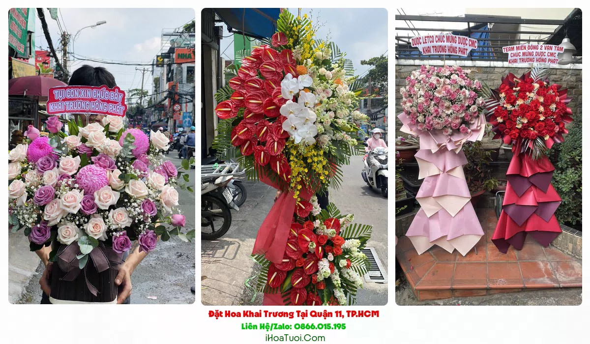 Shop Hoa Khai Trương Tại Quận 11, TP.HCM