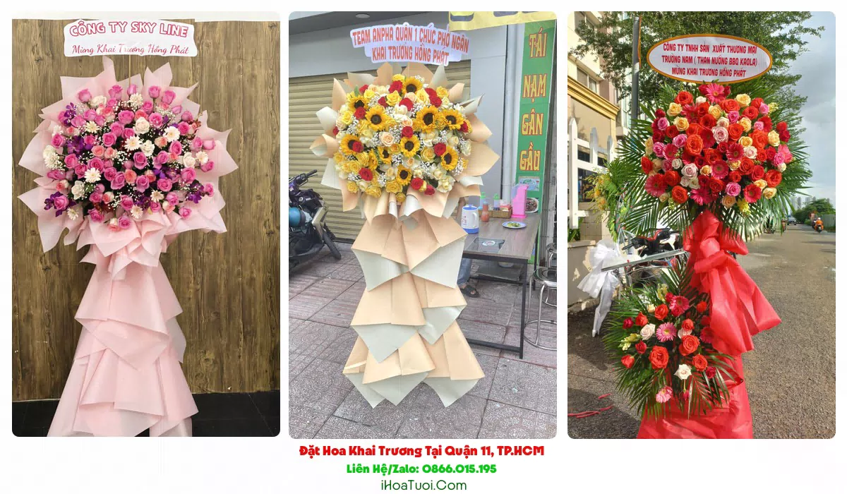 Lan hồ điệp mừng khai trương Quận 11