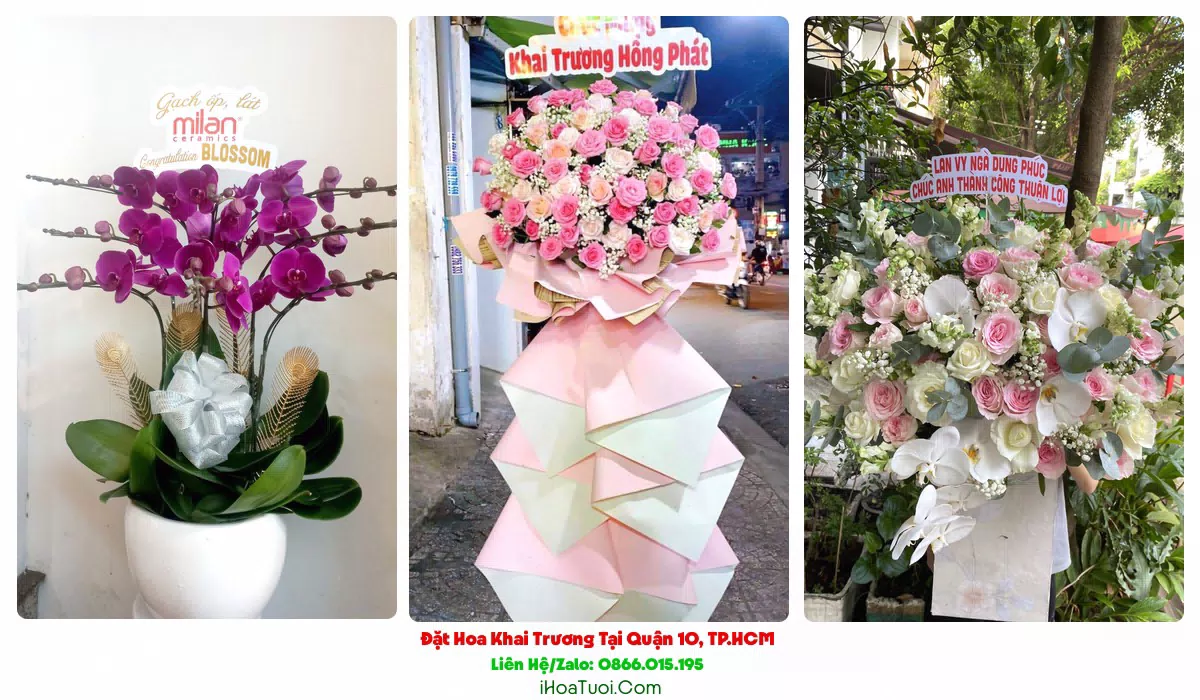 Kệ hoa khai trương Quận 10 nhiều mẫu để chọn