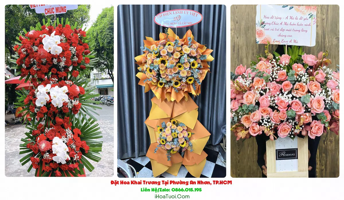 Lan hồ điệp mừng khai trương tại Phường An Nhơn