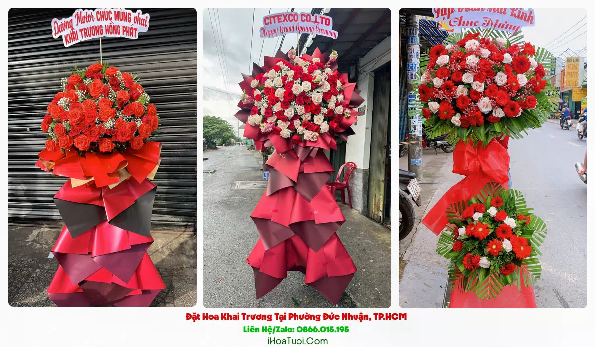 Kệ hoa khai trương Phường Đức Nhuận