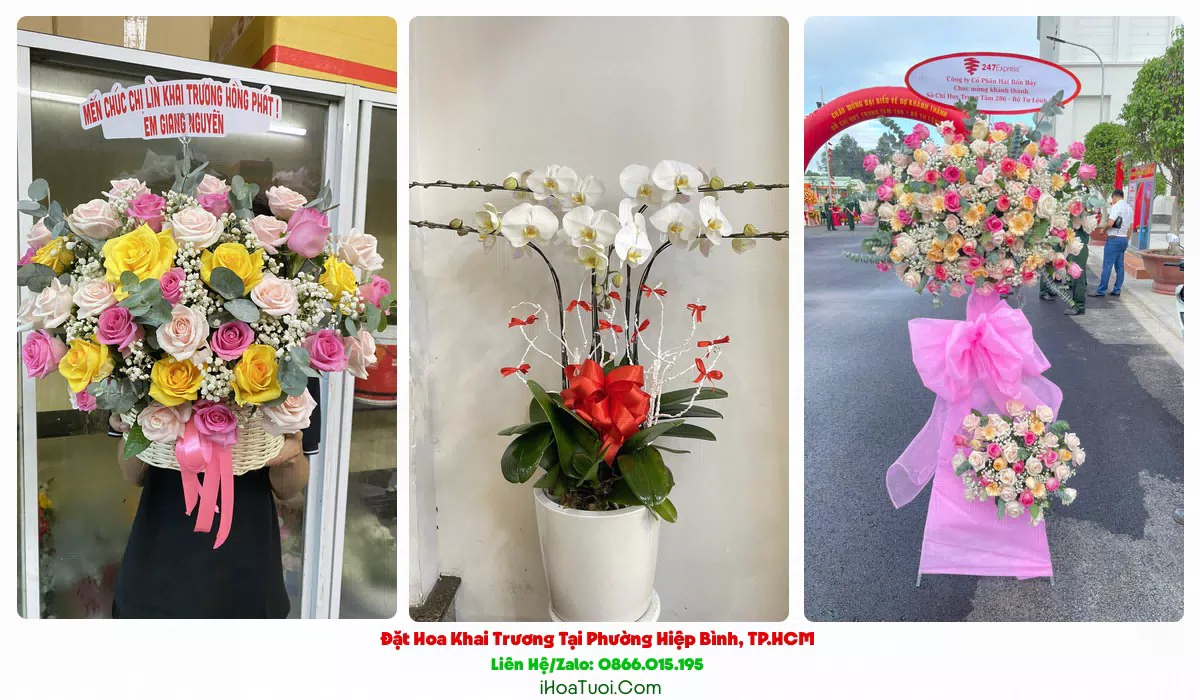 Kệ Hoa Khai Trương Tại Phường Hiệp Bình, TP.HCM (Thành phố Thủ Đức Cũ)
