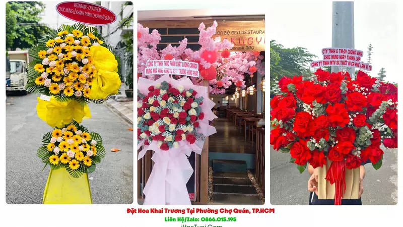 Kệ Hoa Khai Trương Phường Chợ Quán, TP.HCM (Quận 5 Cũ)