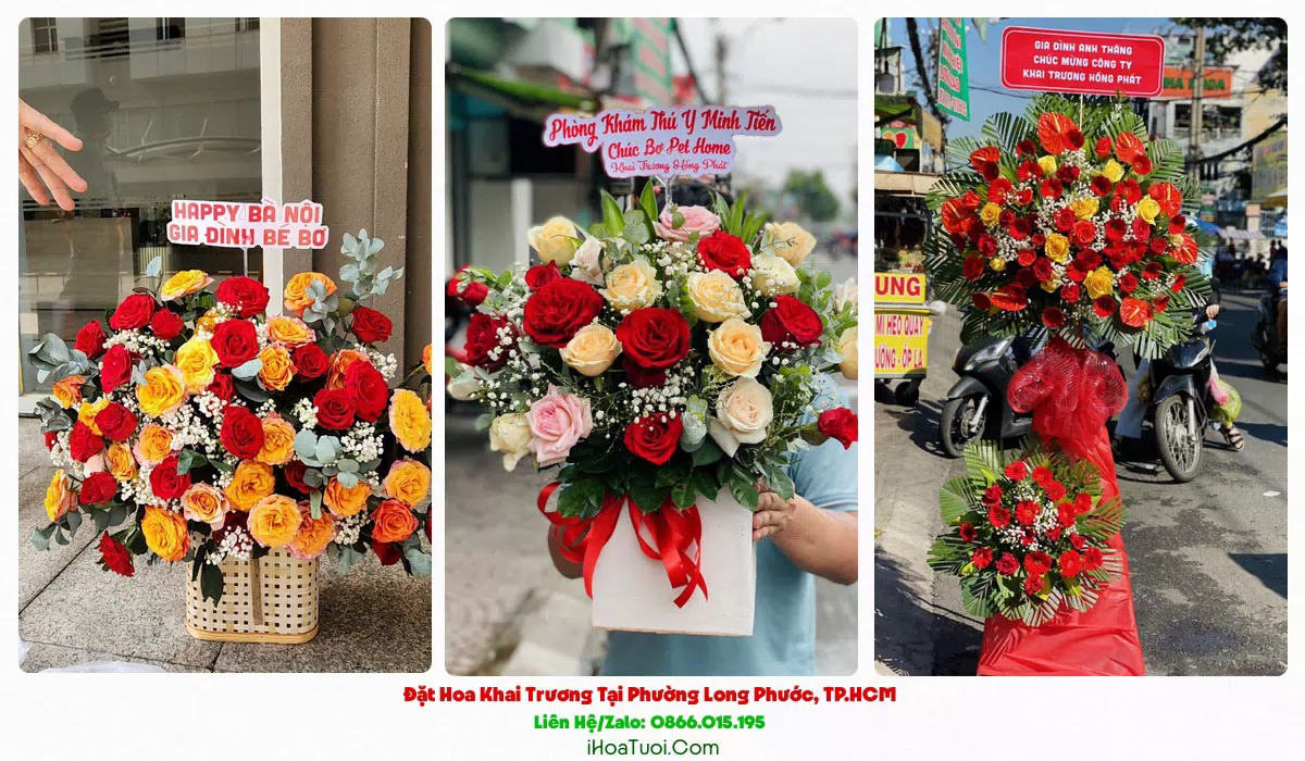 Chậu lan hồ điệp mừng khai trương sang trọng tại Phường Long Phước