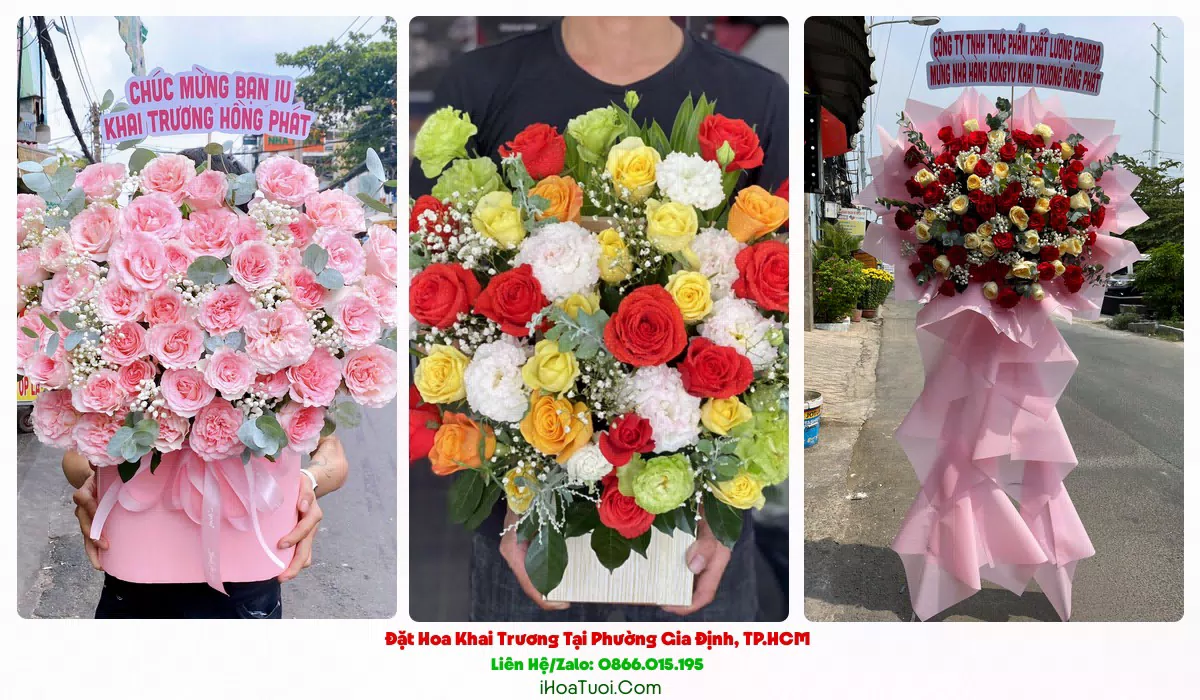Kệ hoa khai trương lan hồ điệp tại Phường Gia Định