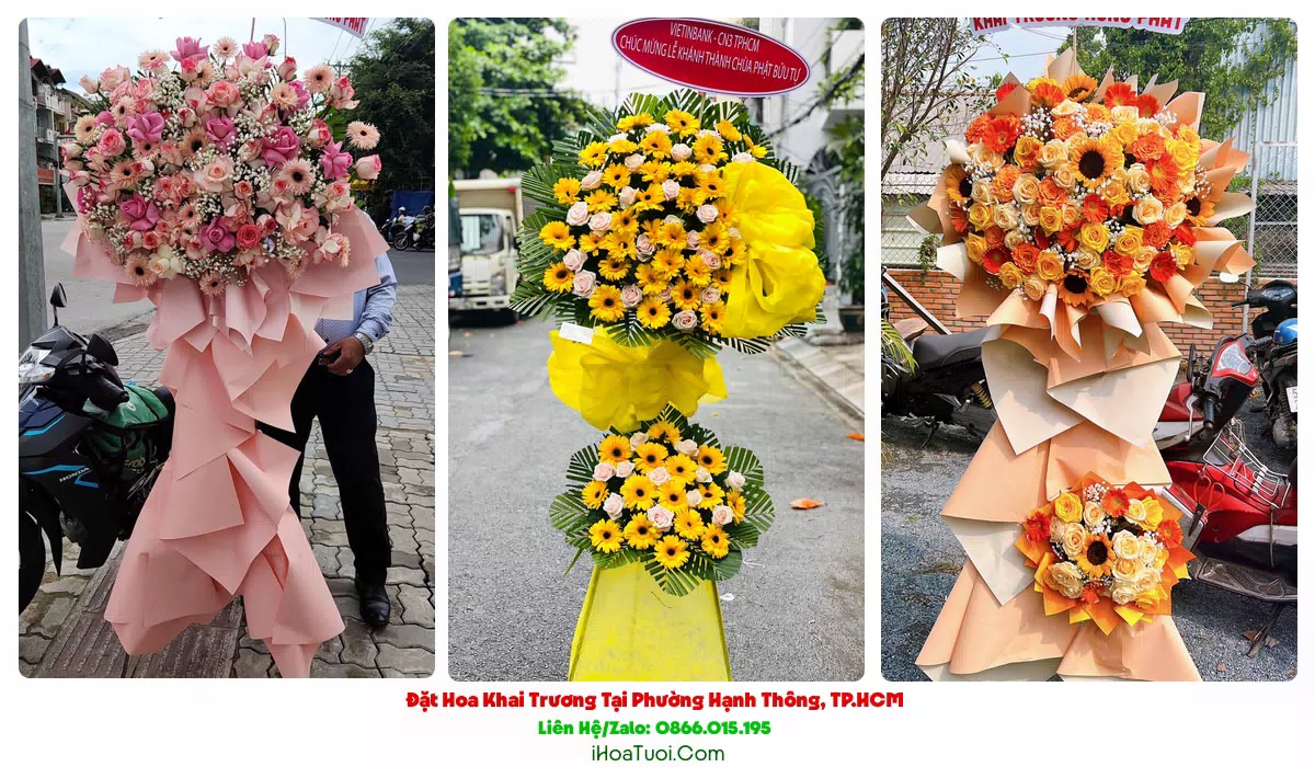 Lan hồ điệp mừng khai trương Phường Hạnh Thông