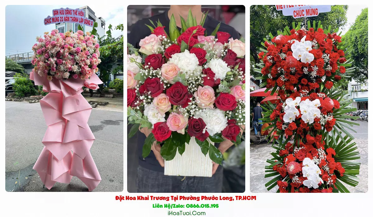Hoa đồng tiền, hoa cát tường trên kệ hoa khai trương Phường Phước Long