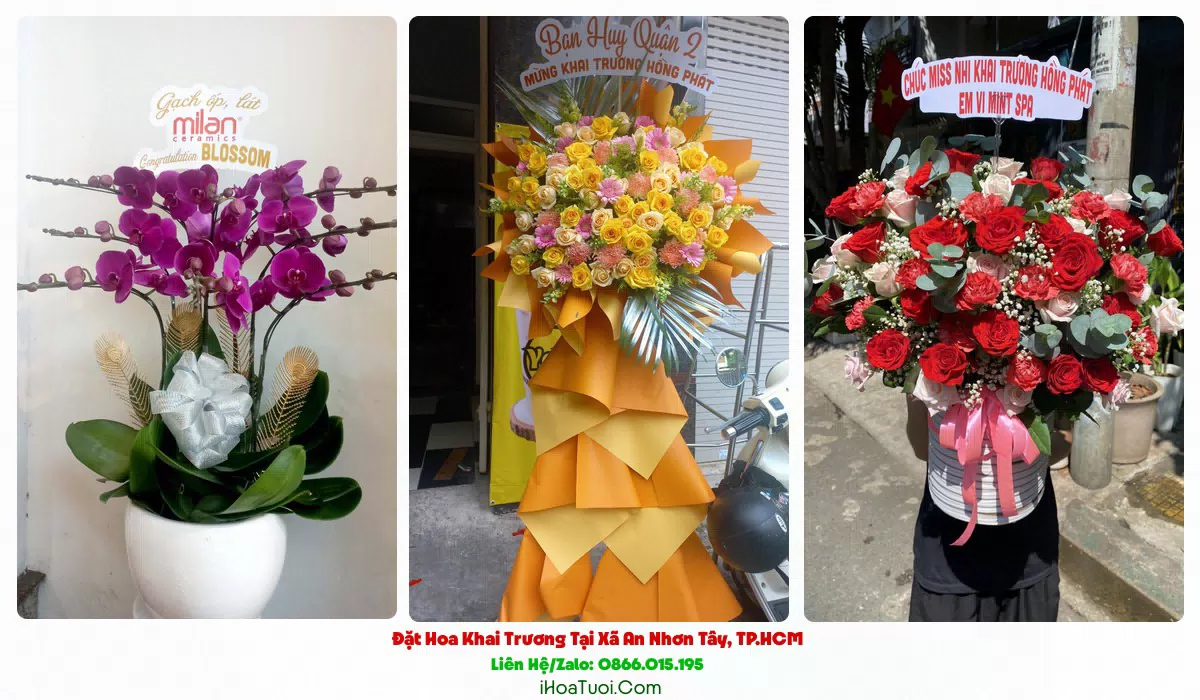 Shop hoa khai trương giao tận nơi tại Xã An Nhơn Tây, Củ Chi