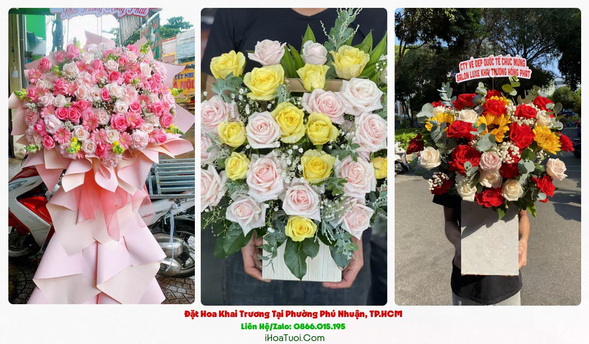 Hoa Chúc Mừng Khai Trương Tại Phường Phú Nhuận, TP.HCM (Quận Phú Nhuận Cũ)