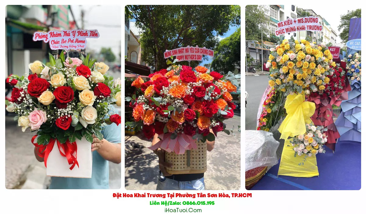 Shop hoa khai trương gần Hẻm 74/1 Bạch Đằng Phường Tân Sơn Hòa