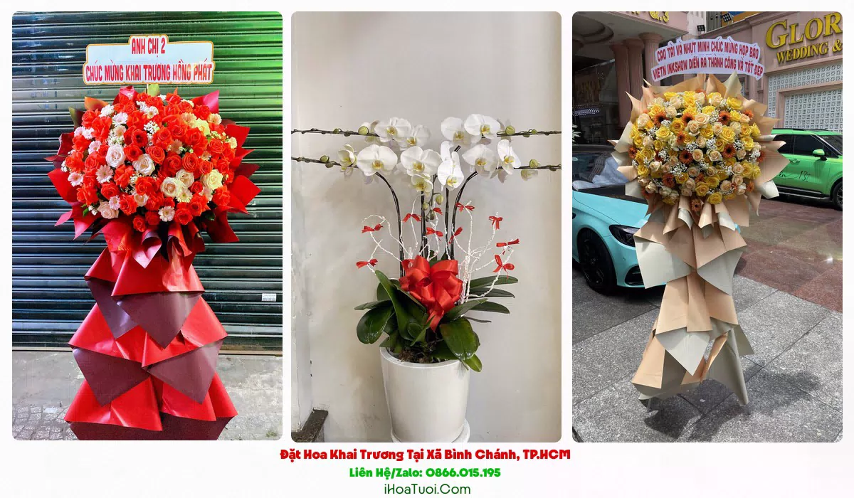 Kệ hoa khai trương Xã Bình Chánh