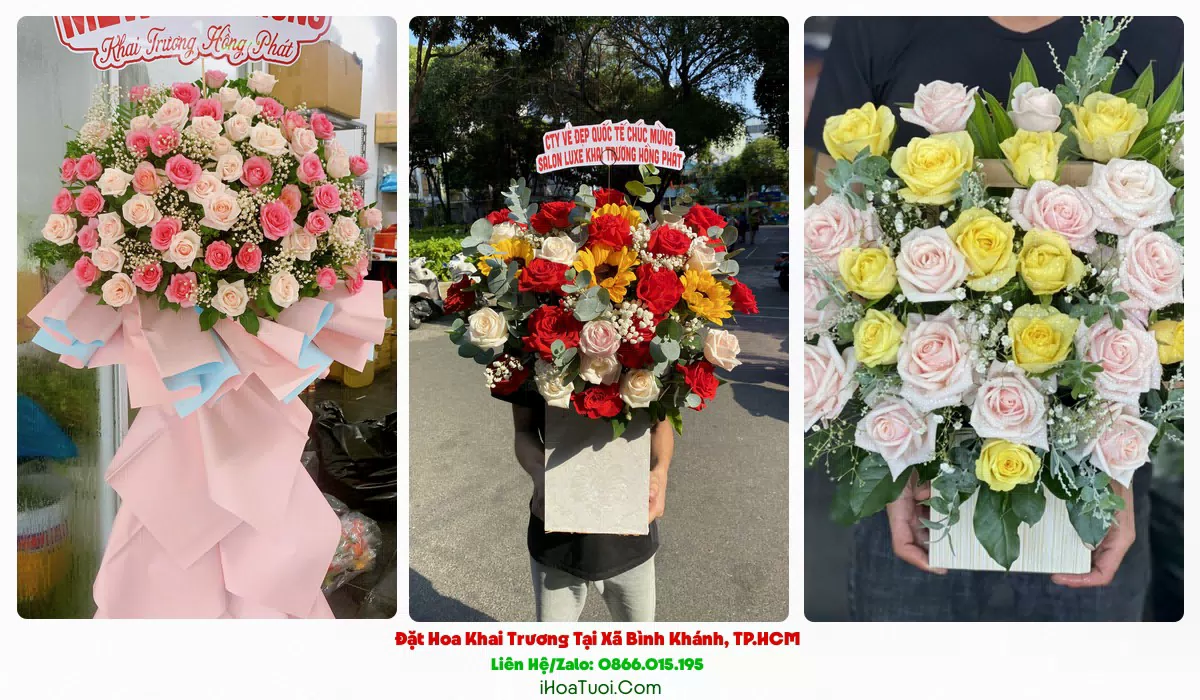 Hoa đồng tiền hướng dương trong hoa khai trương Xã Bình Khánh