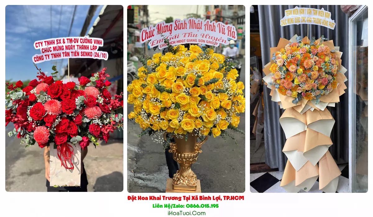 Đặt Hoa Khai Trương Tại Xã Bình Lợi, TP.HCM (Huyện Bình Chánh Cũ)