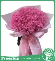 Bó Hoa BaBy Tone Hồng To Đẹp - Mã: I-190 - Giá: 1.200.000đ