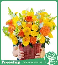 Giỏ Hoa Chúc Mừng Ánh Nắng Vàng