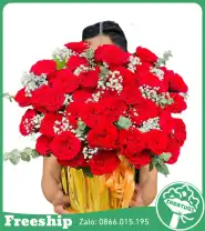 Giỏ Hoa Chúc Mừng Tone Đỏ Kem