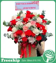 Giỏ Hoa Chúc Mừng Tone Đỏ Kem