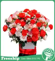 Giỏ Hoa Chúc Mừng Tone Đỏ Rực Rỡ