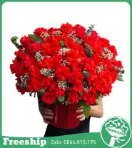 Giỏ Hoa Chúc Mừng Vạn Sự Han Thông - Mã: I-173 - Giá: 750.000đ