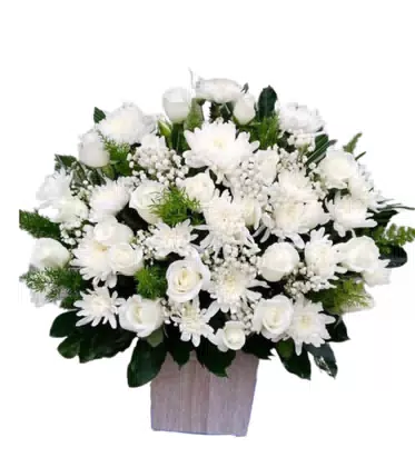 Giỏ Hoa Hồng Cúc Trắng Chậu Gỗ Thanh Nhã