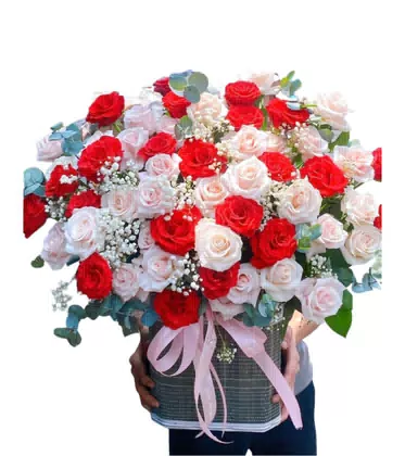Giỏ Hoa Hồng Đỏ Phối Kem Nơ Hồng Lãng Mạn