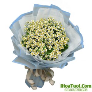 Hoa Chúc Mừng (Mã: i047)