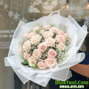 Hoa Chúc Mừng (Mã: i062)