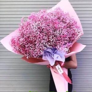 Hoa chúc mừng (Mã: i381)