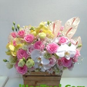 Hoa chúc mừng (Mã: i417)