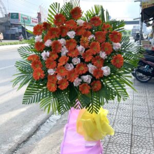 7066135c44ba8ee4d7ab