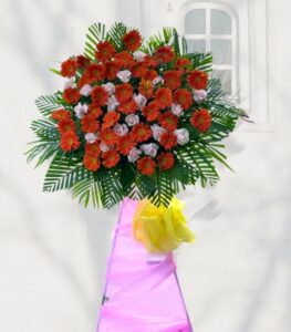 Dat Hoa Tuoi Hoa Khai Truong