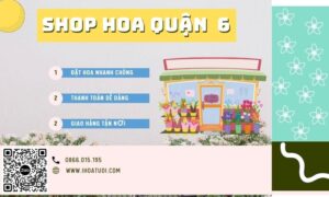 Shop Hoa Tươi Hồ Chí Minh Quận 6