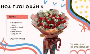 Shop Hoa Tươi Quận 5, Đặt Hoa Tươi Online Nhanh Tại TP.HCM