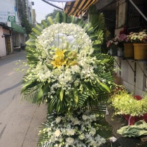 Z3243986050570_f955e362a4f3ad3690706f3c4c299502