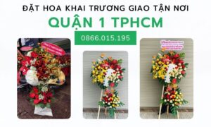 Hinh Anh Hoa Khai Truong Quan 1