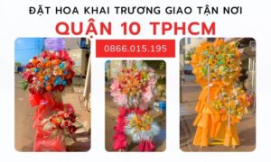 Hinh Anh Hoa Khai Truong Quan 10