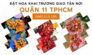 Hinh Anh Hoa Khai Truong Quan 11