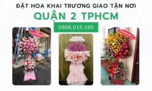 Hinh Anh Hoa Khai Truong Quan 2