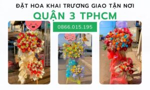 Hinh Anh Hoa Khai Truong Quan 3