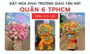 Hinh Anh Hoa Khai Truong Quan 6