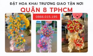 Hinh Anh Hoa Khai Truong Quan 8