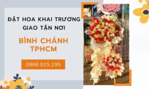 Hinh Anh Hoa Khai Truong Binh Chanh