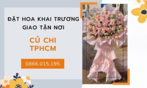 Hinh Anh Hoa Khai Truong CỦ Chi