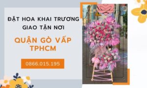 Hinh Anh Hoa Khai Truong Quan Go Vap