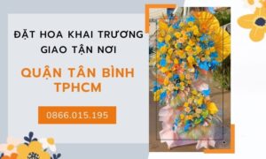 Hinh Anh Hoa Khai Truong Quan Tan Binh