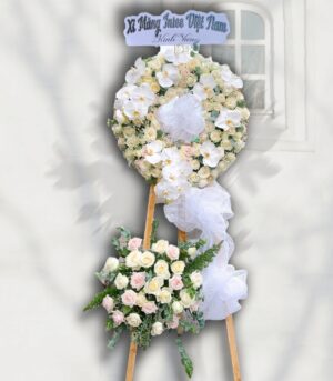 Z3461302293537_8eb342b287b24ee8e0bf5063a0938fbc