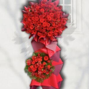 Z3461497972992_b302a23d580b9ee6844333a730e7ba24