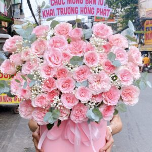 Z4326363375499_deb8417c8e1f55dad96fca1c8fa46faa